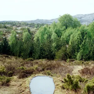Hole
