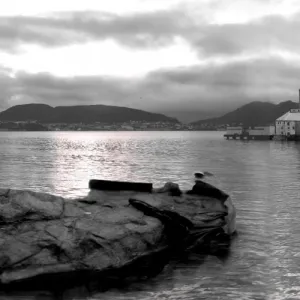 Floating island