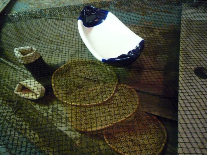 Floating boat table