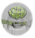Bergen Eco Settlement